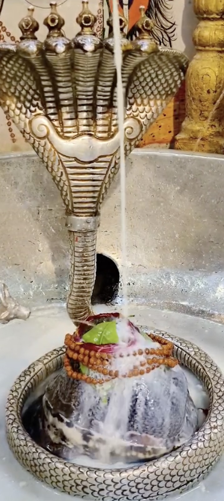 Rudrabhishek to Shree Kubereshwar Mahadev