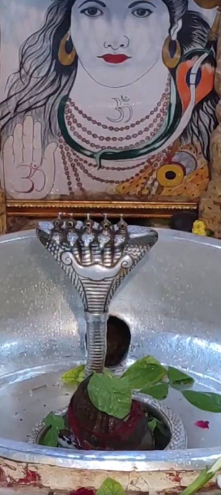 Rudrabhishek to Shree Kubereshwar Mahadev