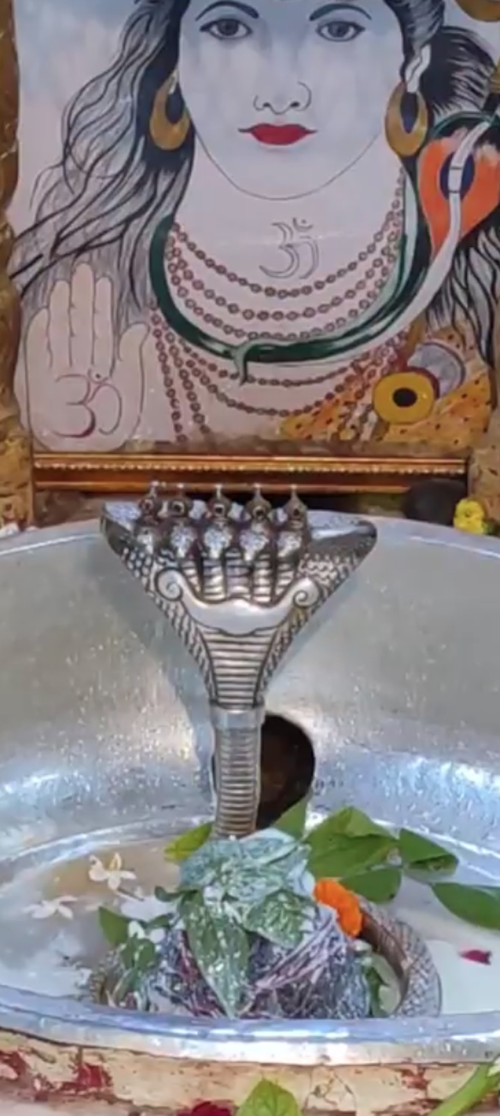 Rudrabhishek to Shree Kubereshwar Mahadev