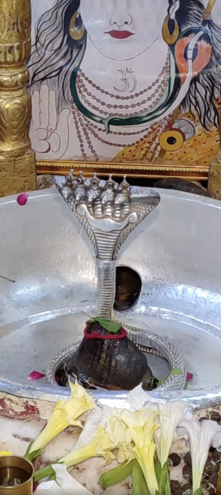 Rudrabhishek to Shree Kubereshwar Mahadev