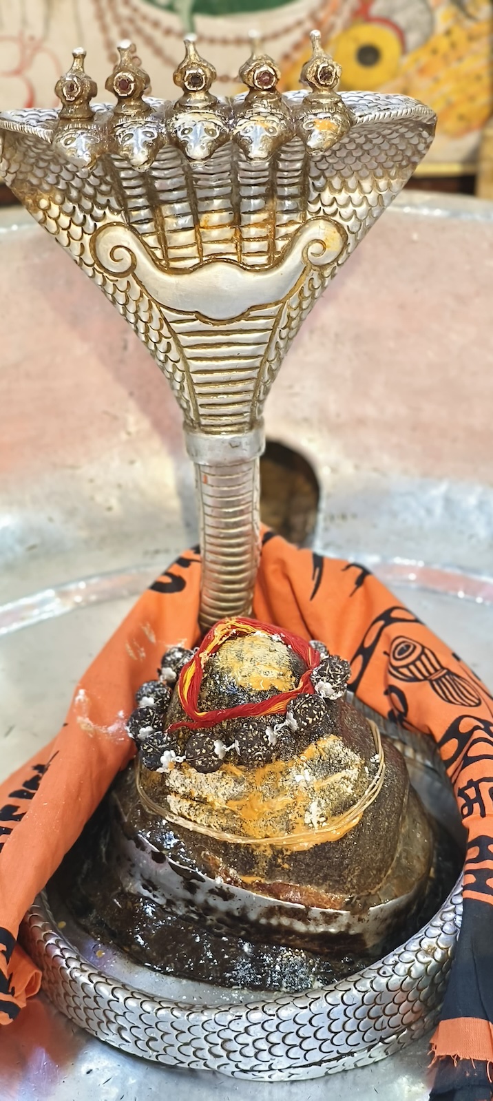 Rudrabhishek to Shree Kubereshwar Mahadev