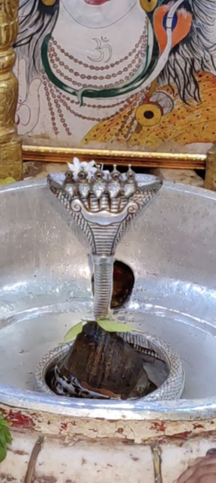 Rudrabhishek to Shree Kubereshwar Mahadev